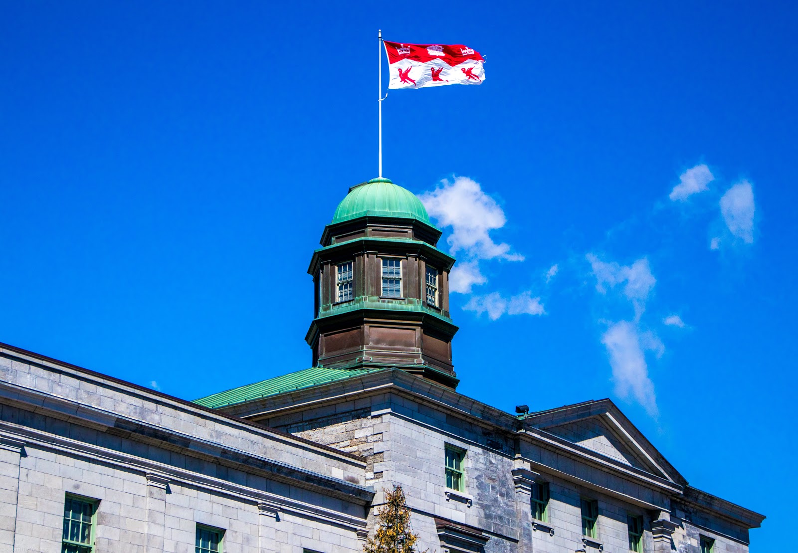 McCall MacBain Arts Building with McGill University flag 